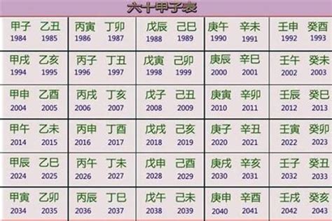 2023 年五行